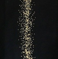 Farbe_black-gold_aristoc_gold-backseam