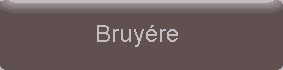 farbe_bruyere